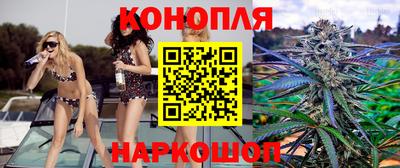 индика Донской