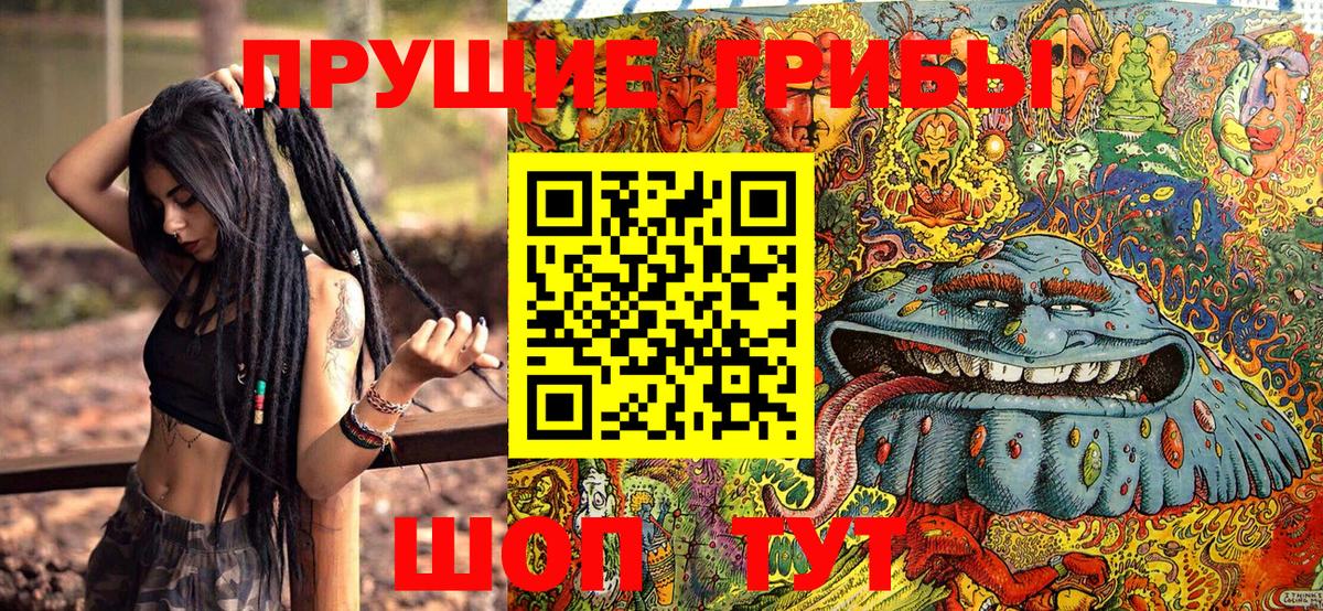 Галлюциногенные грибы Cubensis  Вход с VPN  Грозный 